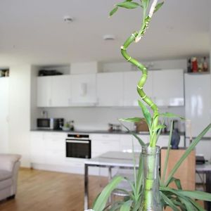 Appartement met Twee Slaapkamers